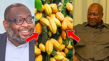 ECUADOR TO OVERTAKE GHANA IN COCOA PRODUCTION? MAHAMA MOVES TO ADDRESS THE CONCERN-EUGENE’S ANALYSIS