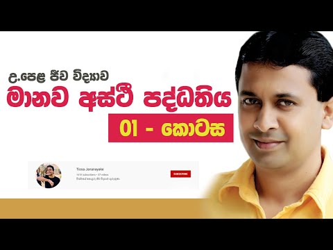 Tissa Jananayake - Lecture Session 01 - Support and Movement