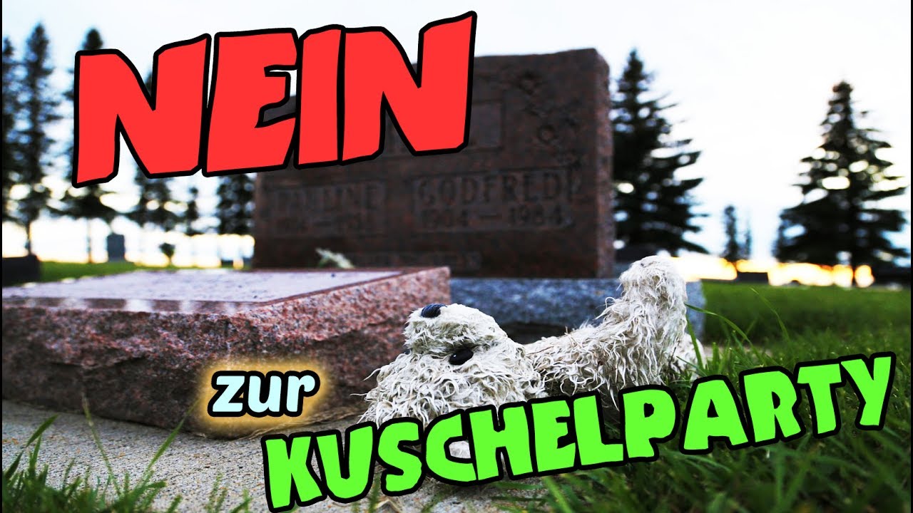 Kuschelpartys kennenlernen