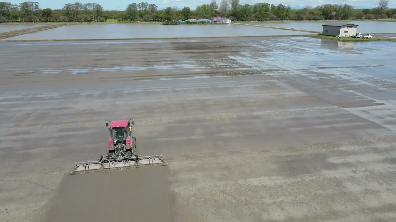 代掻き（しろかき）