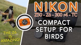 Nikon Z50 & Z6 with 300mm f4 PF + Teleconverters - A compact setup for Birds in Flight screenshot 4