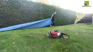 Jesienne Przycinanie Żywopłotu