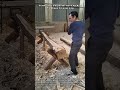 Traditional Carpenter Uses An Axe To Shape A Large Log