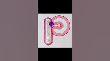 Drop a 💬 if your name starts with P! #spirograph #asmr #satisfying #shorts #relaxing #art #usa