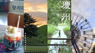 [Vlog] 이토록 완벽한 나혼자 경주여행 | 뚜벅이 하루 코스 공유 | 1일  4카페 | 자전거 타고 경주 한바퀴 | 경주월드 눈치게임 성공 | 국내여행지 추천 | 경주 당일치기