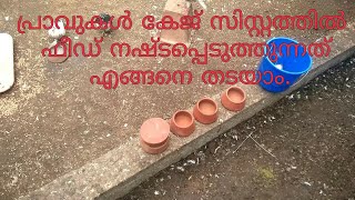 How to Avoid Pigeons Wasting Feed from there Automatic Feeding Setup -SafeHouse Style.