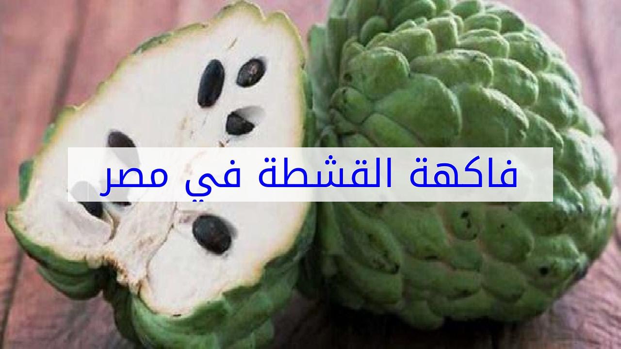 الغاء التحميل الانجراف باونتي  فاكهة القشطة في مصر - YouTube