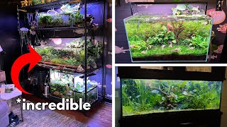 Most Creative Fish Room EVER! (VINTAGE FISH ROOM TOUR) | @LushSaltyAquariums Interview