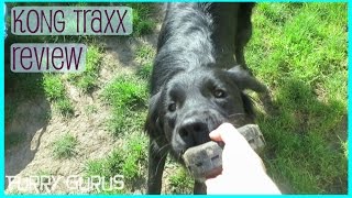 Doggy Review: KONG Traxx