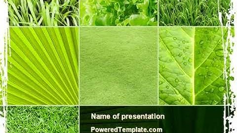 Agronomy And Agriculture PowerPoint Template by PoweredTemplate.com