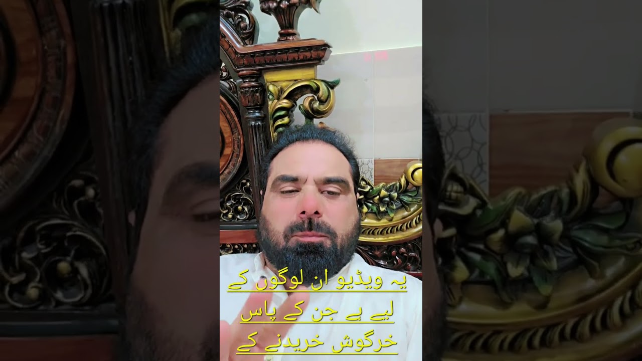 زبیر مظفرآباد آزاد کشمیر کی کامیابی دیکھیں اور پائیں جمی ریبٹ فارمنگ کمپنی پاکستان سے ایگریمنٹ