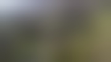 Learning to Fly - syma x8c quadcopter