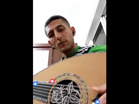 gambus musical instrument