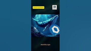 Whale Dumps 301K LINK After 5 Years — What’s Going On