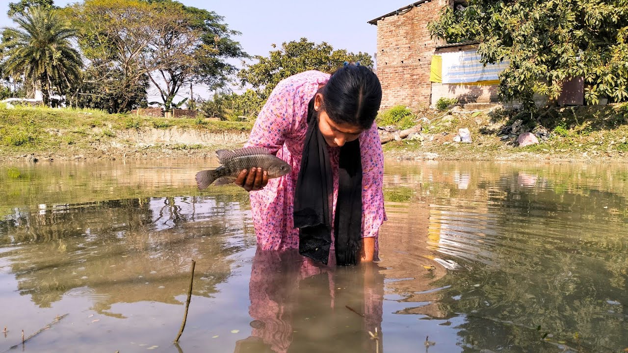 আজকে অনেকগুলো মাছ ধরলাম 😱|Fishing Video 
