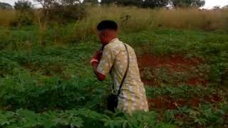 Even My Oja Awake De Spirit With Air