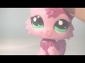  nouveaux littlest petshops