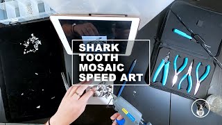 DIY Shark Teeth Mosaic | Speed Art