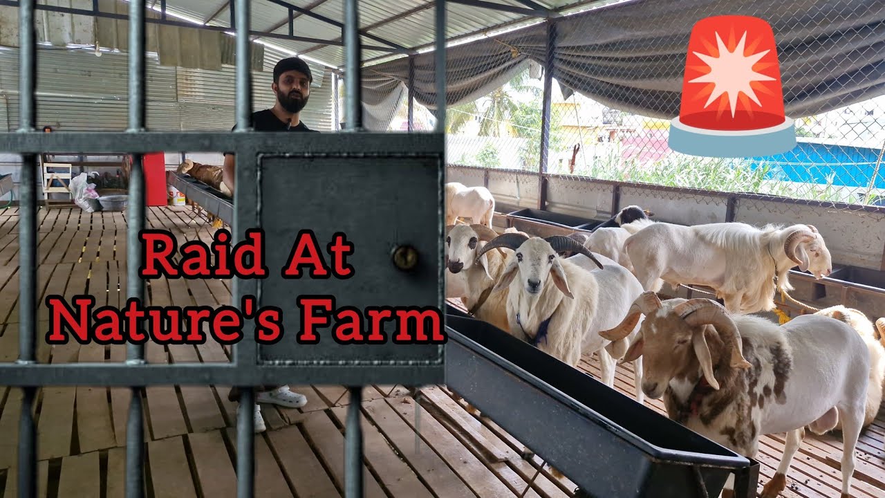 Raid At Nature's Farm Bangalore Unscripted