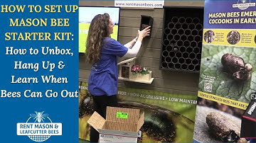 How to Set Up Your Mason Bee Starter Kit