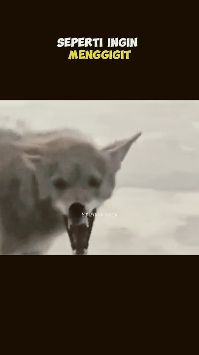 REAKSI HEWAN KETIKA TERKENA VIRUS ZOMBIE #fitrahsurya #facts #shorts