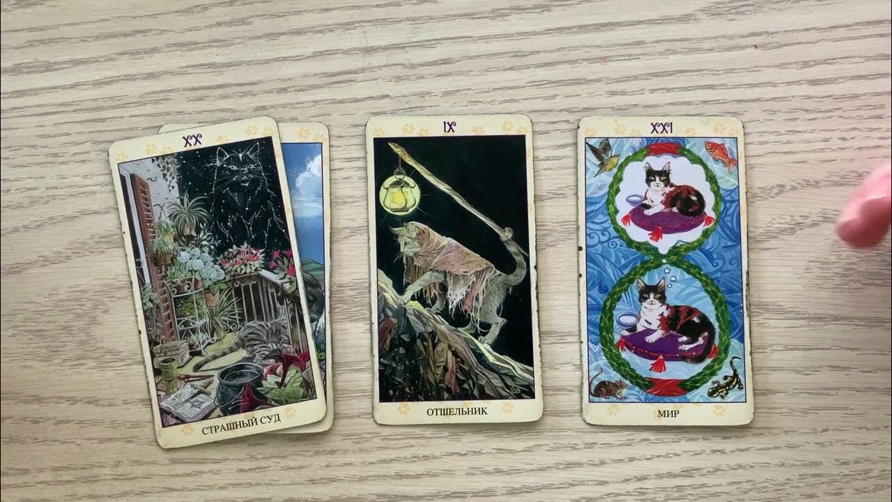 Карта дня 28 февраля