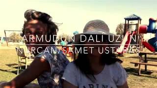 Nurcan / Samet USTABAŞ - Armudun Dali Uzun Resimi