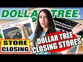 Dollar tree closing down stores price increases and thousands of stores closing