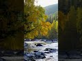 autumn mountain river. full 10 hours video already on YouTube.  #audiorelax #autumn #river