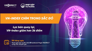 VN-INDEX CHÌM TRONG SẮC ĐỎ | NHỊP ĐẬP THỊ TRƯỜNG 11/10/2022