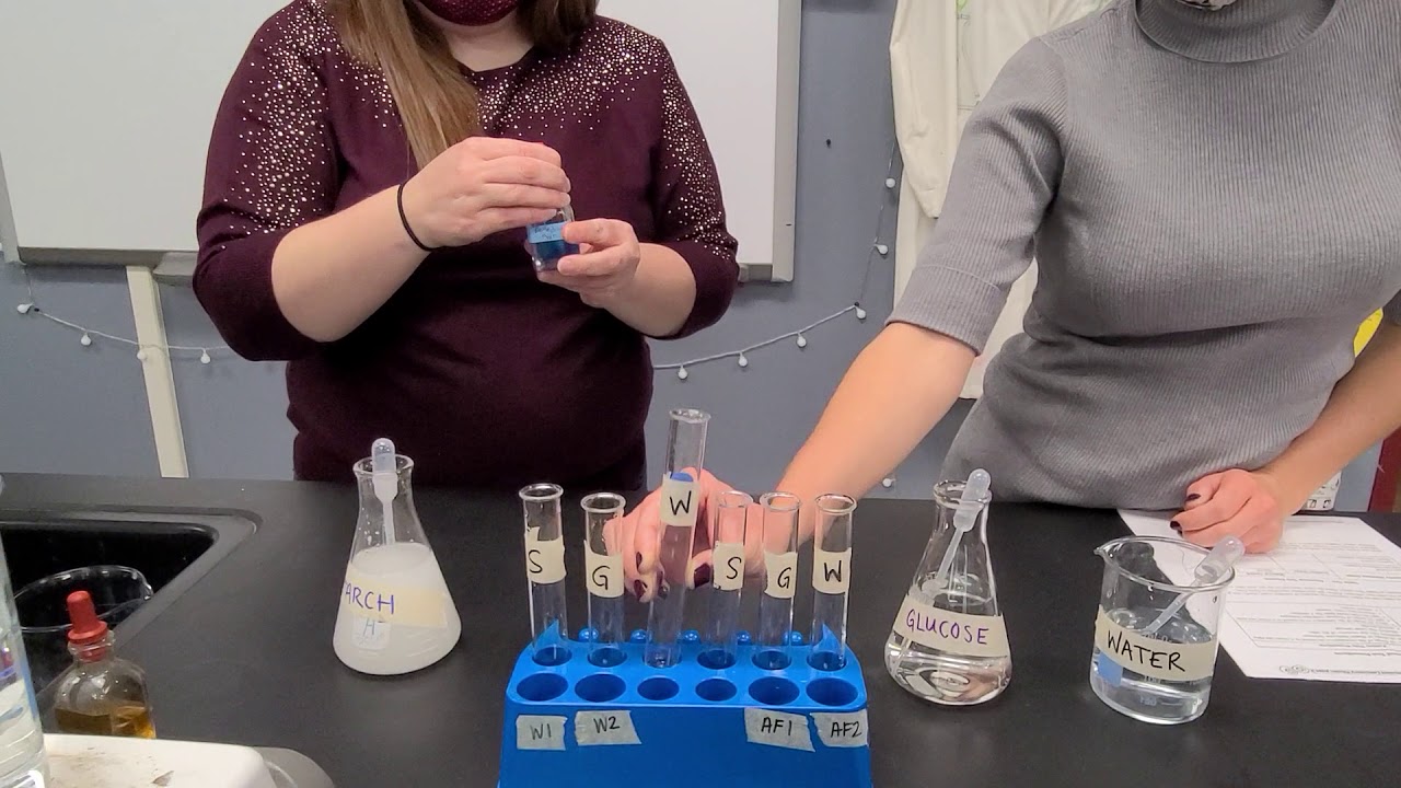 Diffusion Through a Membrane Part 3: Table 1 (2) - YouTube