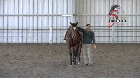 Western Riding:  Mounting and Dismounting