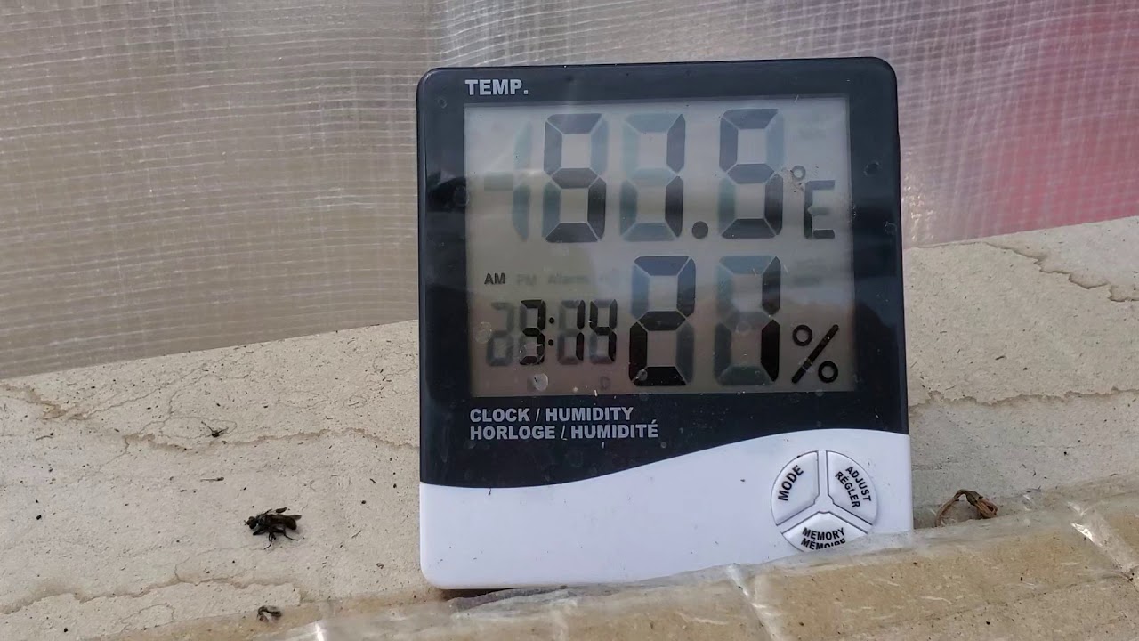 It's so hot my thermometer broke 😨 YouTube