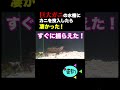 どう猛な巨大ガニの水槽にカニを投入したら凄かった！