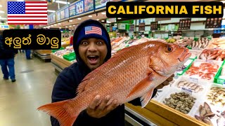 Download Lagu ඇමෙරිකාවේ අවුරුදු 55ක් පරණ මාලු කඩේ | 55 Years Old Family Fish Market USA 🇺🇸 MP3