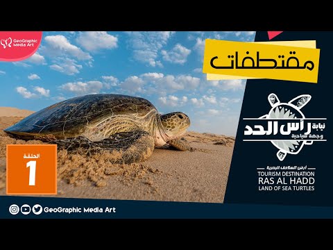 مقتطفات محمية رأس الجنز للسلاحف ع مان     