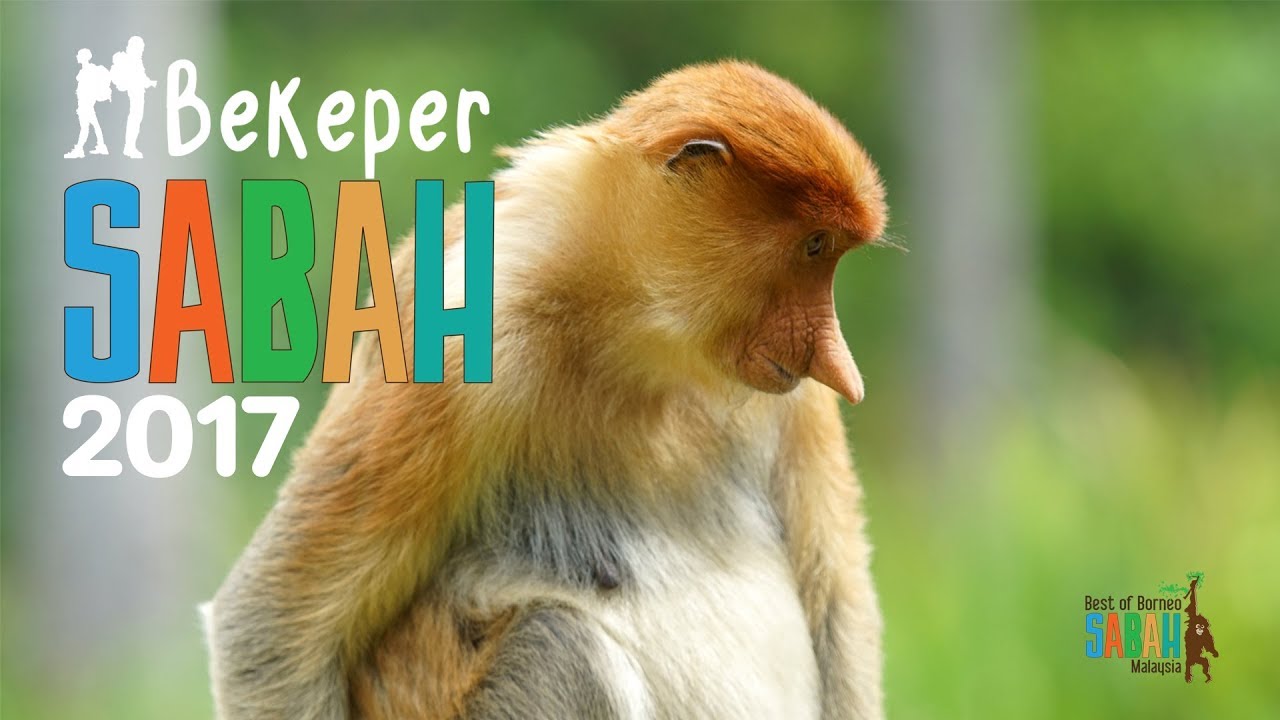 [BEKEPER JOURNEY] SABAH 2017