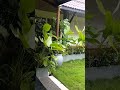 comedy #funny #joke #realvideo #khubsurat nature#barish ka Mausam#short video#short reel #short feed