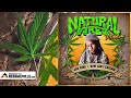 Jah Cure How Can I Explain Natural Vibes Riddim Official Audio 2024 