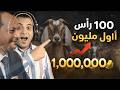 كيف تحقق أول مليون جنيه من مشروع تربية الماعز الأرقام الحقيقية