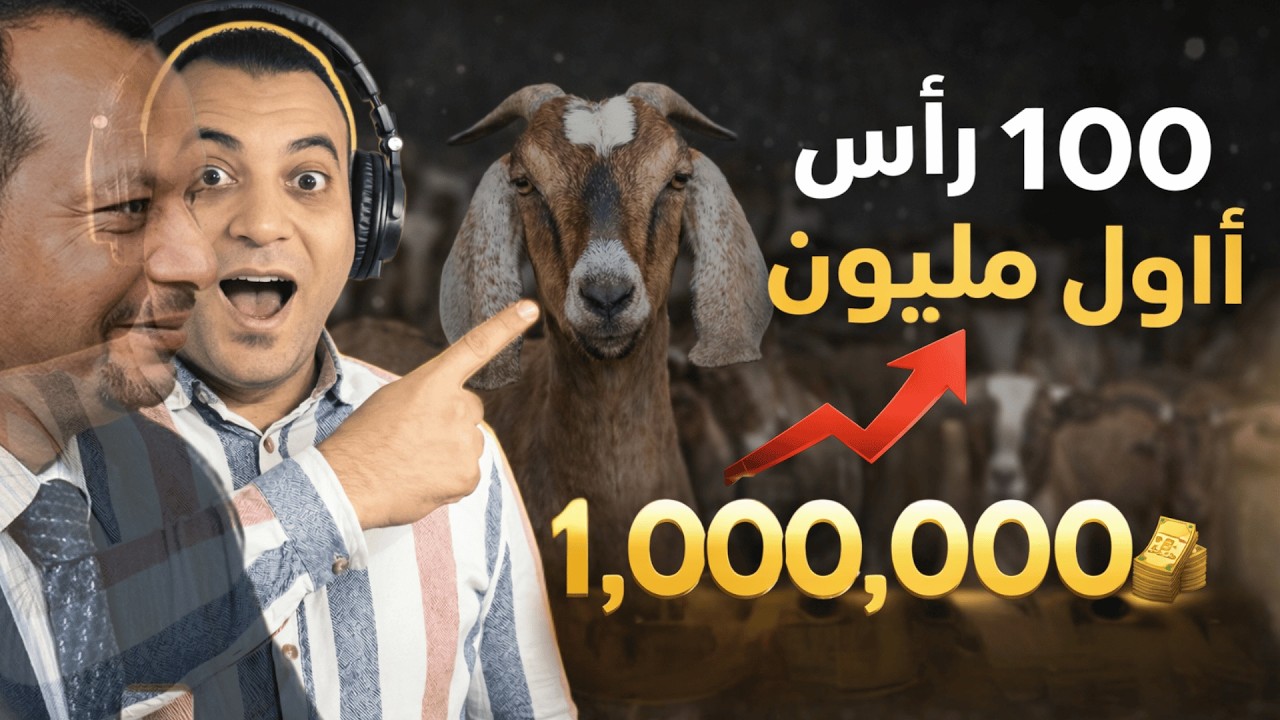 كيف تحقق أول مليون جنيه من مشروع تربية الماعز؟ الأرقام الحقيقية