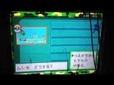 ブロリー