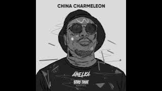 China Charmeleon   Prism feat  Mc'Pour