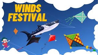 Festival of the Winds Bondi Beach Sydney | Australia