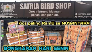 Update hari senin di satria bird shop bongkaran cigun.kutilang sutra.kutilang mas.cipo.pentet dll