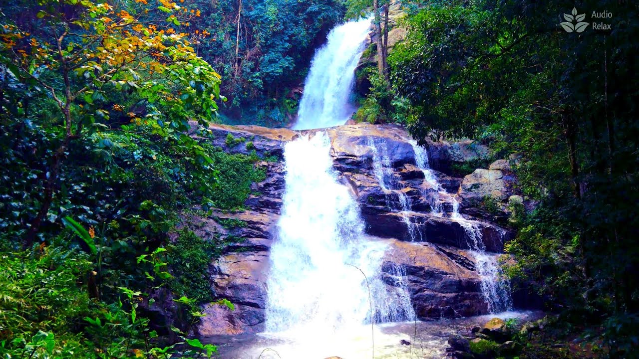 Успокаивающий водопад в Скалистых горах и звуки природы. 10 часов Nature ASMR [AudioRelax]