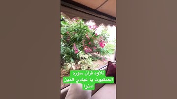تلاوه قران سوره العنكبوت يا عبادي الذين امنوا. #راحة_نفسية #اكسبلور #القارئ_عبدالرحمن_مسعد