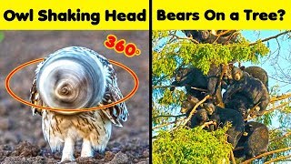 Rare Sights From Nature That Will Leave You Open Mouthed