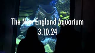 New England Aquarium 3.10.24