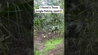 I Found A Jungle In Texas